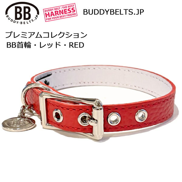 BB���� ��å� RED �ץ�ߥ��ॳ�쥯����� BUDDYBELTS �ڥå� �쥶�� �ܳ� �Хǥ��٥�� ����͢������Ź