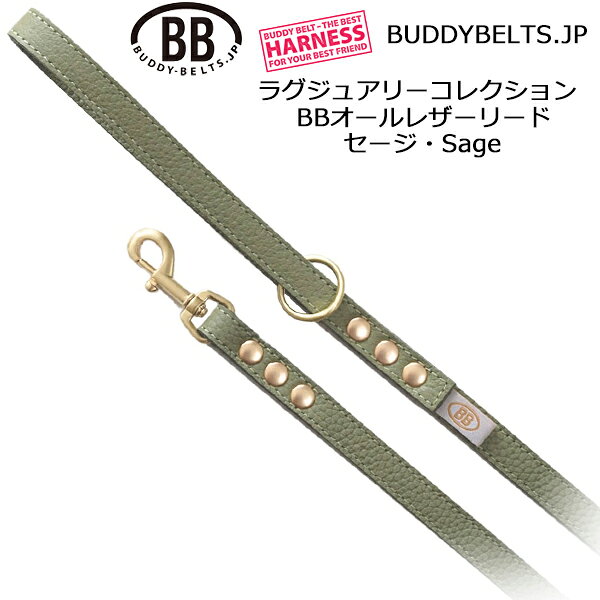 BB������쥶���꡼�� ������ Sage �饰���奢�꡼���쥯����� �Хǥ����٥�� BUDDYBELTS �ڥå� �ܳ� �Хǥ��٥�� ����͢������Ź