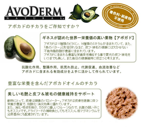 正規品　AVO DERM　アボダーム　キャットフード チキン缶　156g　全年齢猫用　【高消化/高吸収/猫/ウェットウード】