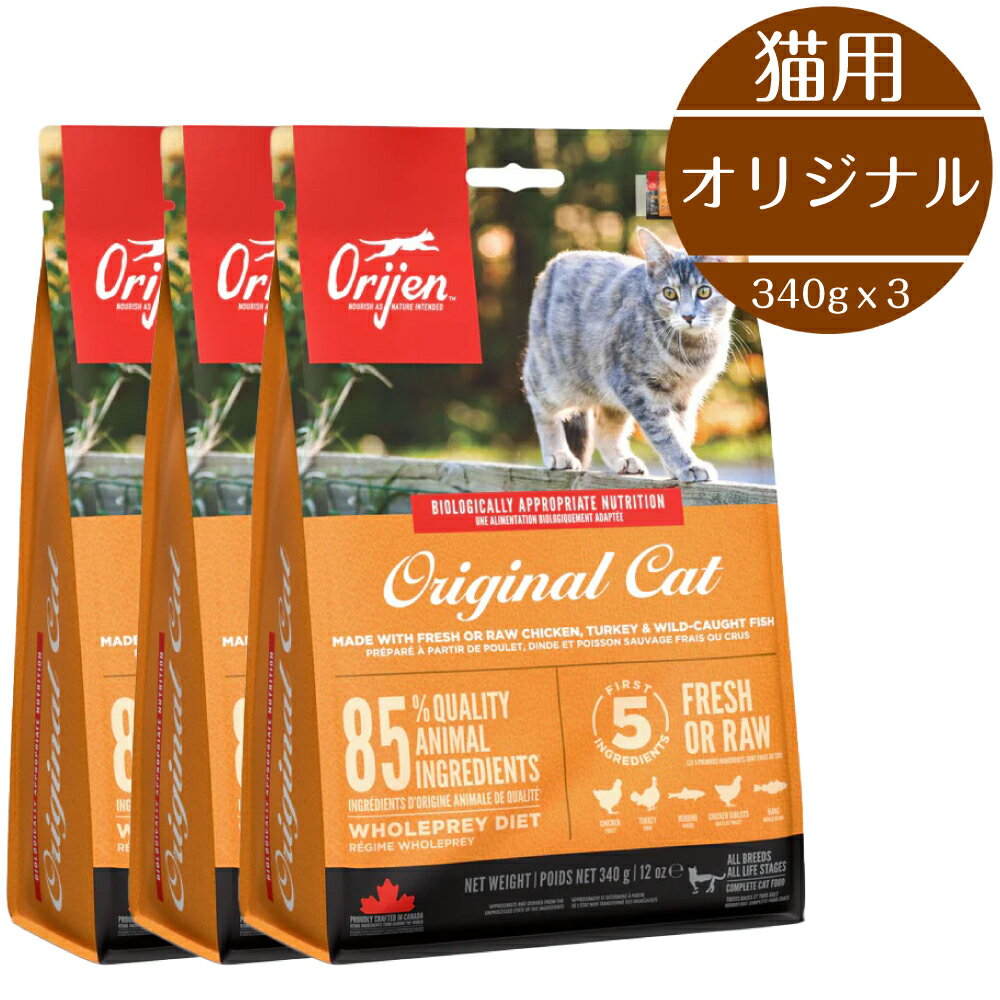 猫用 オリジン オリジナルキャット 340g 3個セット カナダ産 高品質 全猫種 子猫 成猫 シニア 穀類不使用 新鮮 魚 鶏 バランス キャットフード 成長期 健康サポート 動物性タンパク質 無添加 おすすめ 猫 ドライフード Orijen トランペッツ BUDDYPET