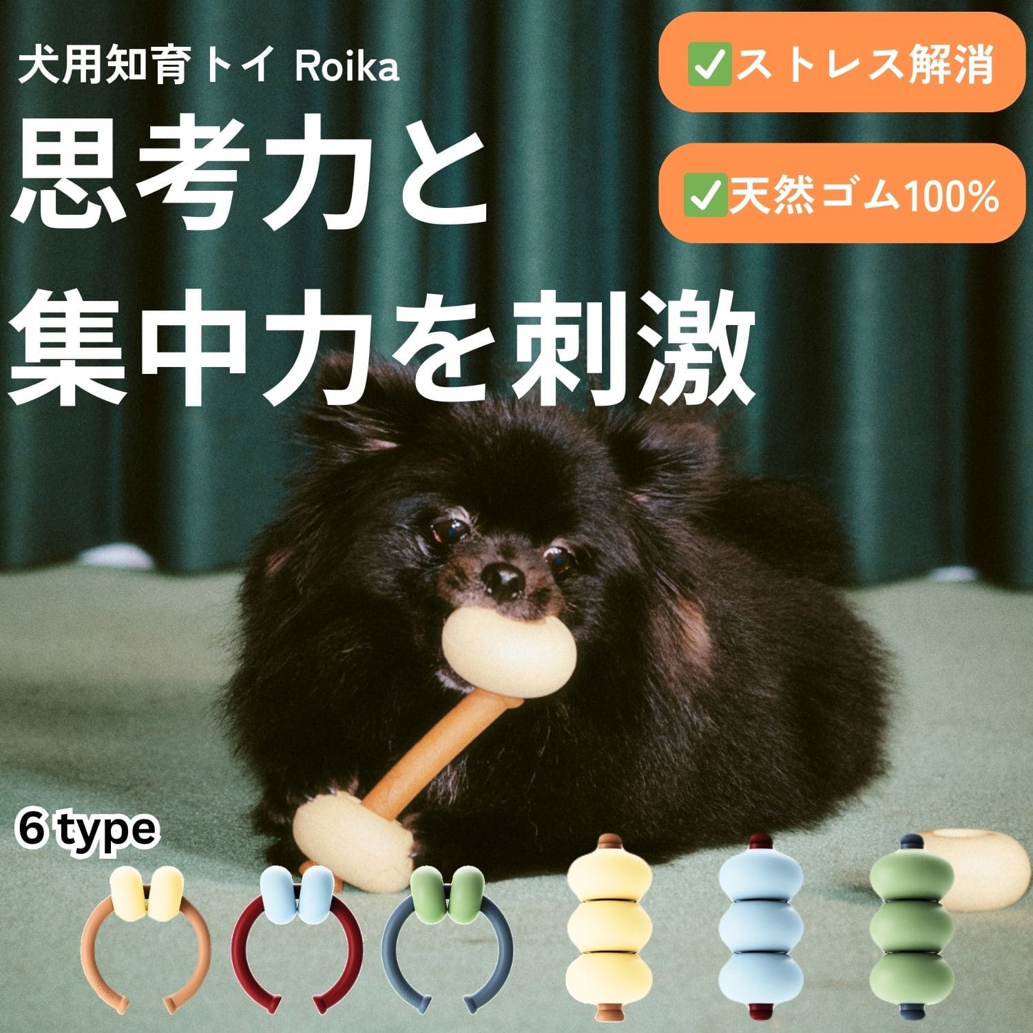 ��SNS������� �ΰ��� �� ������� ������ Roika �Ρ������ α���� ���ȥ쥹��� �����ߥ��顼 ������� ���� ��ư��­ ��� �Ų� �ޥ󥷥��