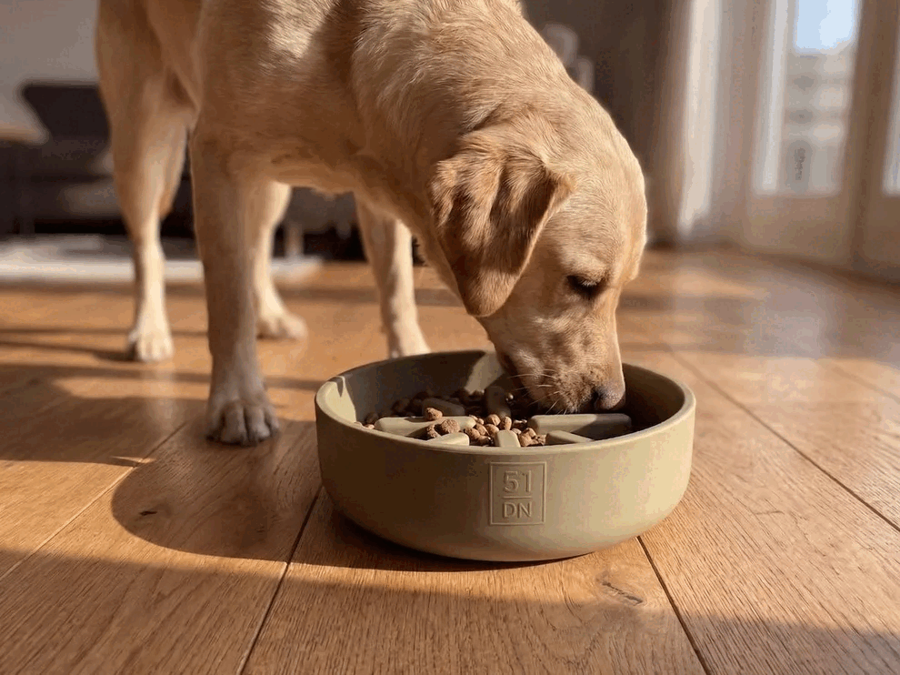 SILI BOWL スローフィーダーボウル｜51 DEGREES NORTH シリコーン食器 犬用 早食い防止 割れない静音 電子レンジ食洗機対応 350/700/1400ml 全3色
