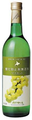 酸化防止剤無添加マスカットはこだてわいん（北海道函館ワイン）やや甘口 白ワイン