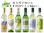 はこだてわいんおすすめ白ワイン6本セット北海道 函館 ワイン セット送料無料 プレゼント　ギフト