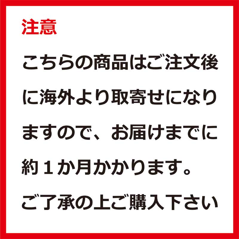 【3,980円以上のお買い上げで送料無料】TWINS ツインズ スパーリンググローブ 12oz. 空手/ボクシング/格闘技/キックボクシング/総合格闘技 送料無料 武道園