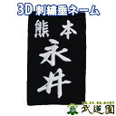 剣道 3D刺繍ゼッケン 垂ネーム 剣道 盛り上げサテン刺繍 ...