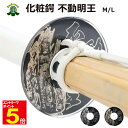 【期間限定★エントリーで全品ポイント5倍】剣道 竹刀用 化粧鍔(つば・ツバ) 不動明王 金/銀 M/L プレゼントに 武道園