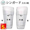 【期間限定★エントリーで全品ポイント5倍】空手 ミズノ シンガード (左右1組) ノンコンタクト(寸止め)用 全日本空手道連盟検定品 全国高校体育連盟空手道専門...