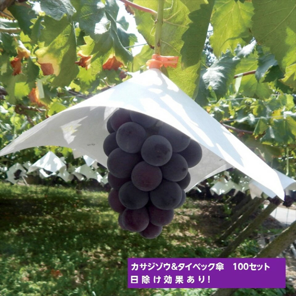 カサジゾウ（バイオレット）×タイベック傘（パンチ穴）100セット