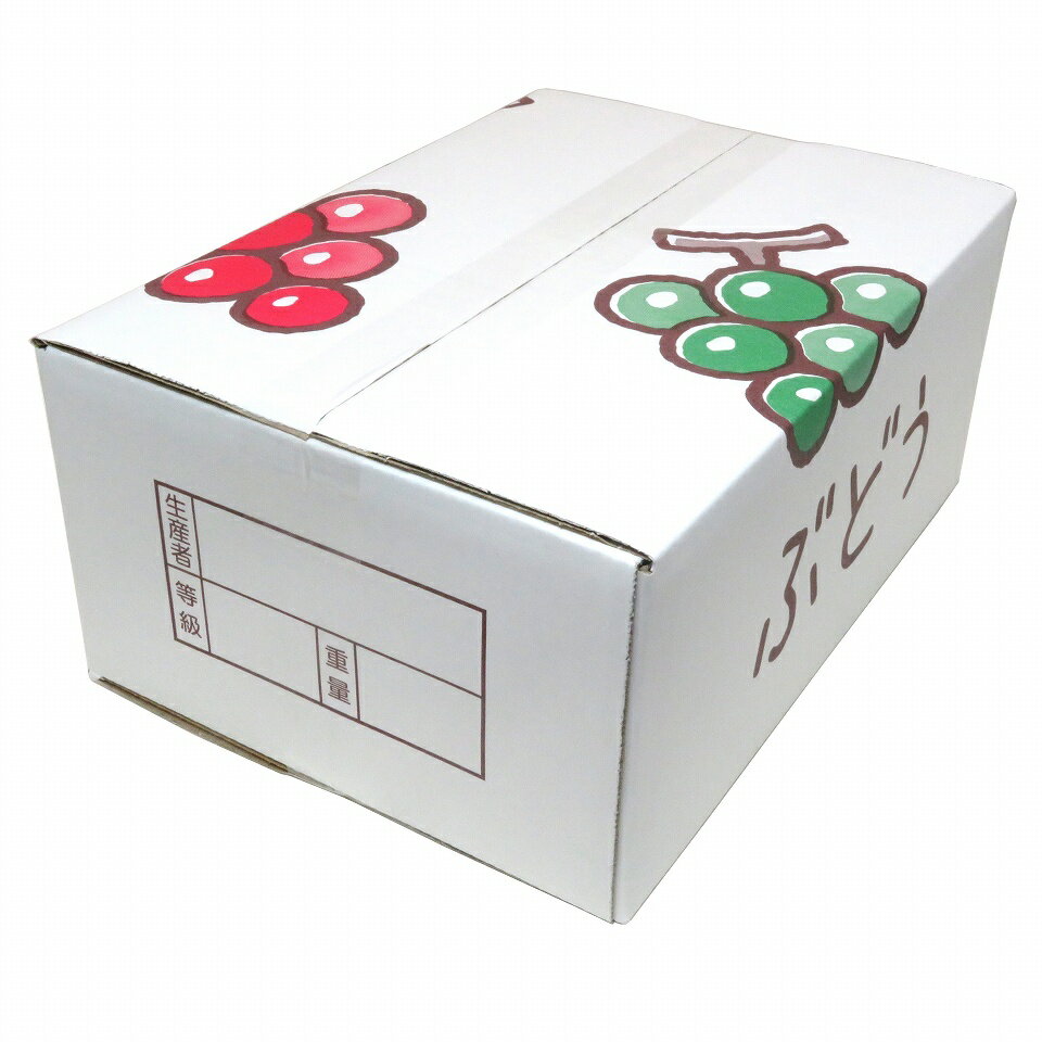 �֤ɤ�A�������ס���������Ȣ��2.0������ �����֤ɤ�������23��33�߹⤵13.5cm�ˡ�50��/Ȣ ��˥塼���롪�� ���̾��¢�Ǥ����ۤ��ǽ�Ǥ���