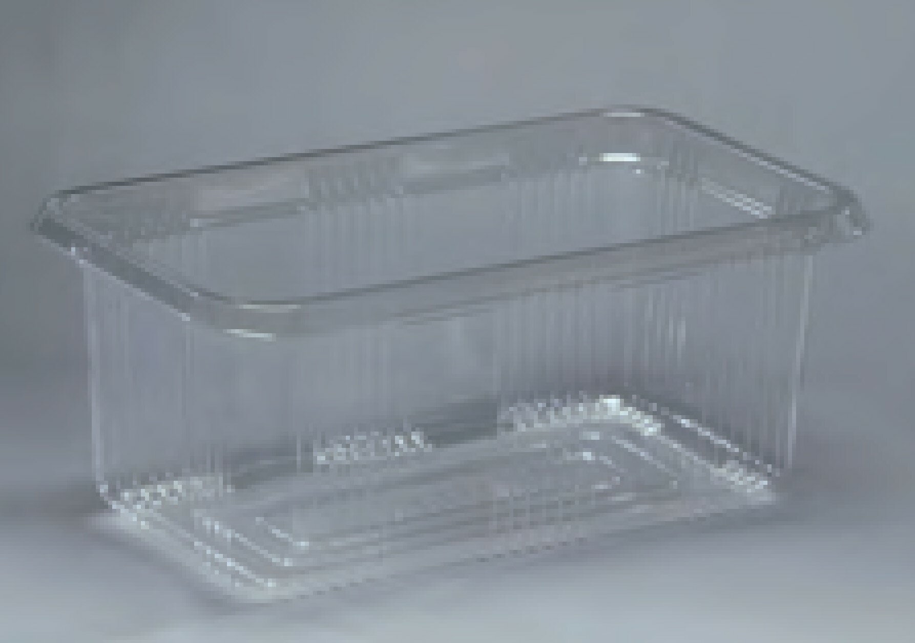 【屋号必須】フルーツパック　フルーツ110　800枚/箱 長辺218(内寸198)×短辺128(内寸108)×高さ90mm　プリンスメロン2個