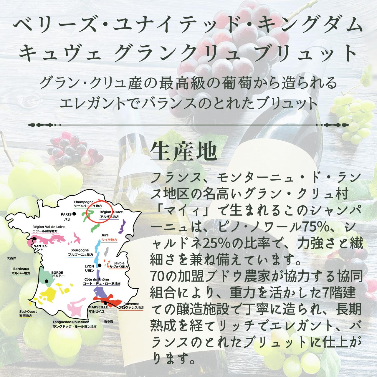 【フランス・泡】マイィ　ベリーズ・ユナイテッド・キングダム　キュヴェ　グランクリュ　ブリュット　ノンウ゛ィンテージ　協同組合「マイィ」が誇る、最高級のブドウを活かした一本　グラン・クリュ産の果実から造られる、エレガントでバランスのとれたブリュット budoukan-10007239 ワインショップ 葡萄館 サンプル画像2