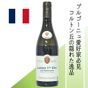 【フランス・白】ニュダン ラドワ 1級 レ・グレション ブラン 2020 標高360mの高地畑から生まれるシャルドネの傑作。熟れたリンゴや黄桃のアロマに、硬質なミネラルと爽やかな酸が融合。ラドワが誇る唯一無二の1級白ワイン。
