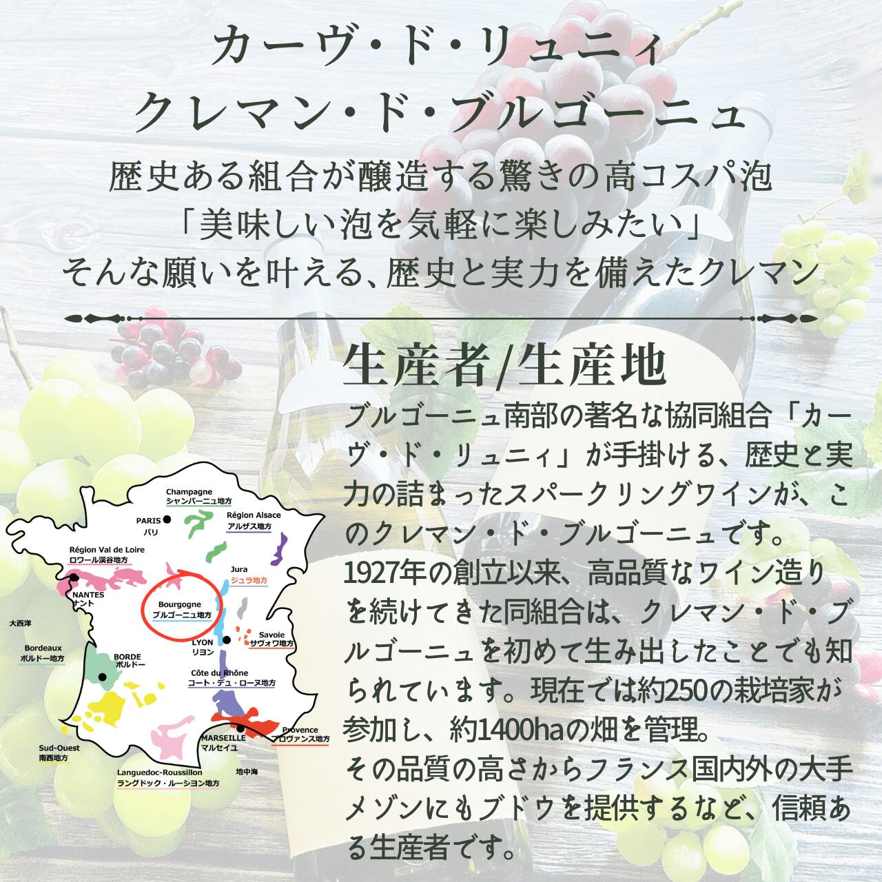 【フランス・白泡】カーヴ・ド・リュニィ　クレマン・ド・ブルゴーニュ　石灰岩土壌のブドウを手摘みで収穫。シャンパーニュ製法で12ヶ月熟成させた、贅沢な辛口スパークリング。「美味しい泡を気軽に楽しみたい」そんな願いを叶える、歴史と実力を備えたクレマン budoukan-10007255 ワインショップ 葡萄館 サンプル画像2