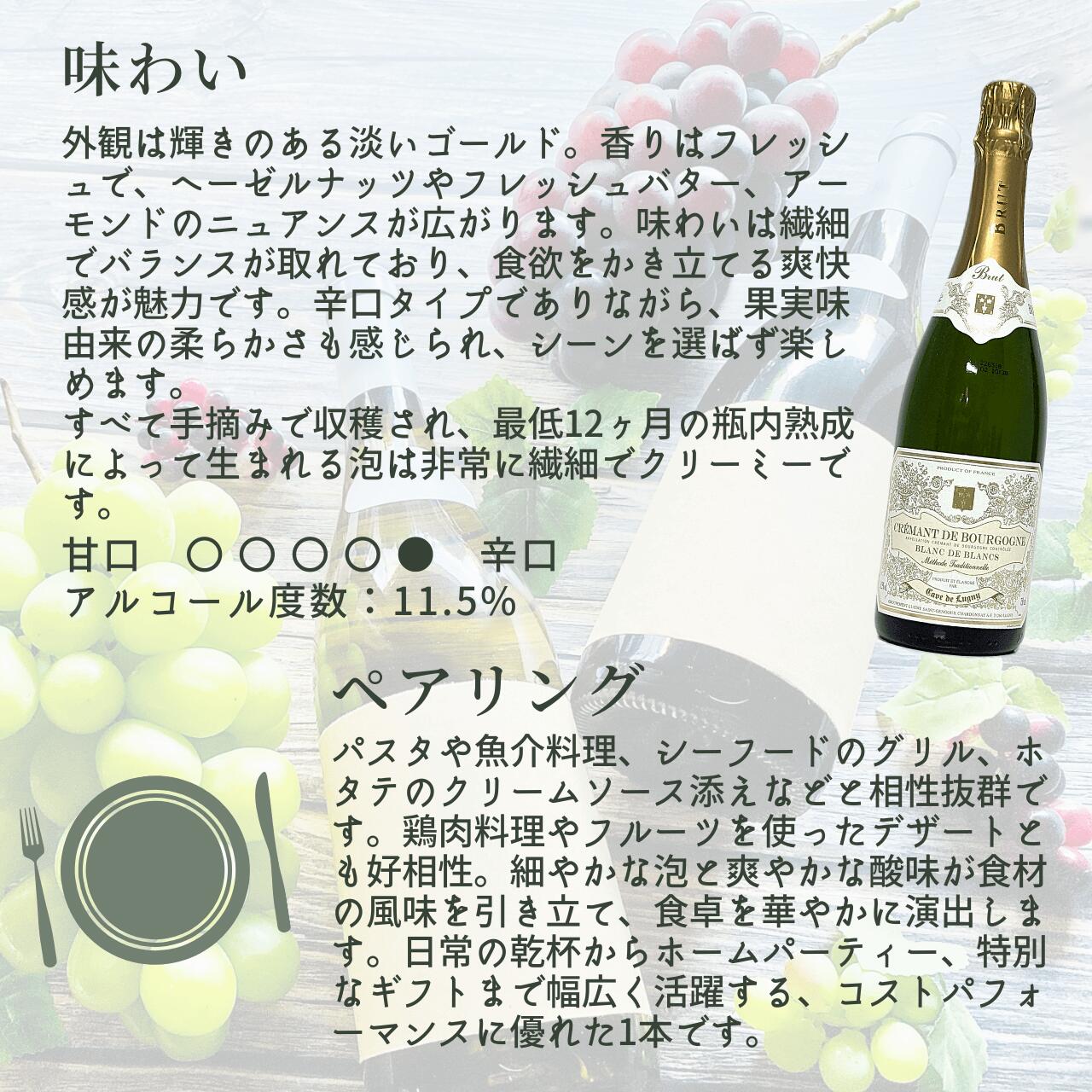 【フランス・白泡】カーヴ・ド・リュニィ　クレマン・ド・ブルゴーニュ　石灰岩土壌のブドウを手摘みで収穫。シャンパーニュ製法で12ヶ月熟成させた、贅沢な辛口スパークリング。「美味しい泡を気軽に楽しみたい」そんな願いを叶える、歴史と実力を備えたクレマン budoukan-10007255 ワインショップ 葡萄館 サンプル画像3