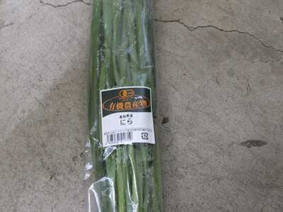 [ͭ������] �ˤ�(100g)�����������˥å� ͭ�� �� �˥� �� ͭ���ˤ� �������˥å��ˤ�