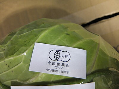 [ͭ������]����٥�(1/2��)�����������˥å� ͭ�� ����٤� Ⱦ�� �� ����� ���ࡼ���� ���塼��