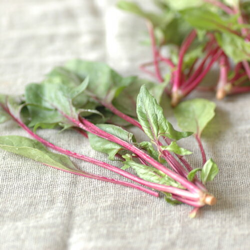 [ͭ������]�ּ��ۤ������(130g)�����������˥å� ͭ�� �ۤ���󤽤� �ۥ���󥽥� ������ ��