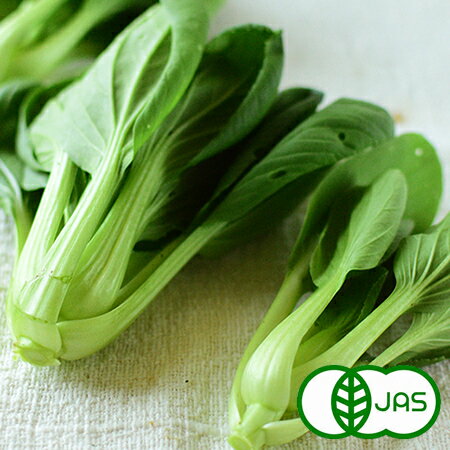 [有機栽培] ミニチンゲン菜 (150g)　　有機 オーガニック 青梗菜 葉野菜 国産 奈良県産 西日本