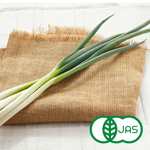 [有機栽培]九条ねぎ（120g）　　オーガニック 有機 国産 葱 ネギ
