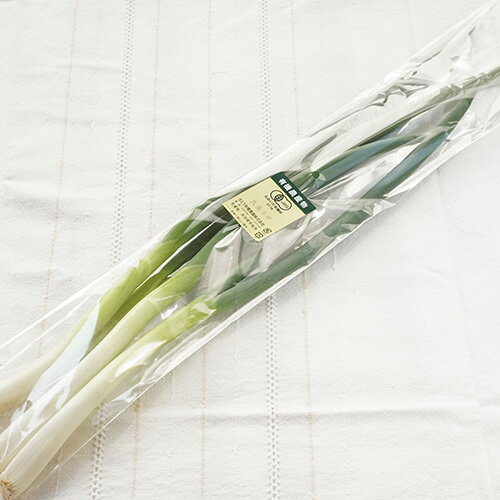 [ͭ������]���ͤ���120g�ˡ����������˥å� ͭ�� �� Ǭ �ͥ�