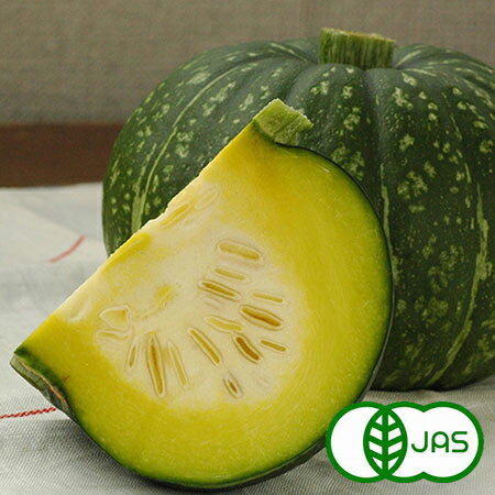 [有機栽培] サラダかぼちゃ (1玉)　　有機 オーガニック カボチャ 南瓜 国産 九州産 生のサムネイル