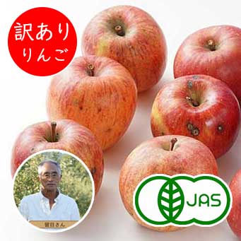 [有機栽培]和楽堂養生農苑さんの訳ありりんご (4個)　　オーガニック 有機 りんご 訳あり アップ ...
