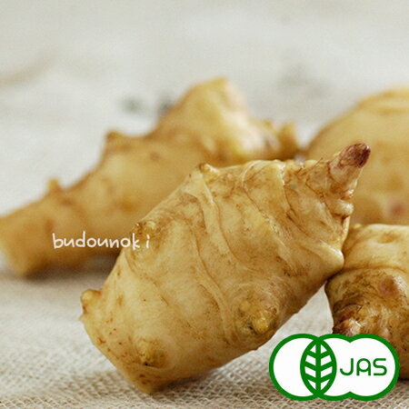 [有機栽培] 菊芋(5kg) オーガニック 有機 国産 長野県産 キクイモ きくいも