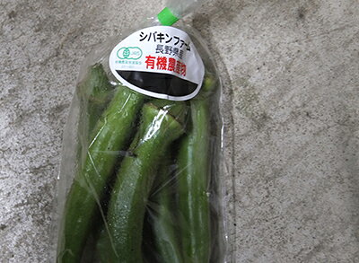 [有機栽培] おくら(100g)　　有機 オーガニック 国産 オクラ 兵庫県産 生 budounoki-10000108 ぶどうの木 サンプル画像2