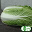 [有機栽培] 千葉県産ミニ白菜　　有機 オーガニック ハクサイ はくさい 国産