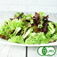 [有機栽培] レタスミックス (40g)　オーガニック 有機 国産 広島県産 サラダ スムージー ジュース