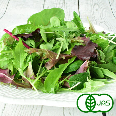 [有機栽培] ベビーリーフ大袋 (100g)　オーガニック 有機 国産 広島県産 サラダ スムージー ジュース