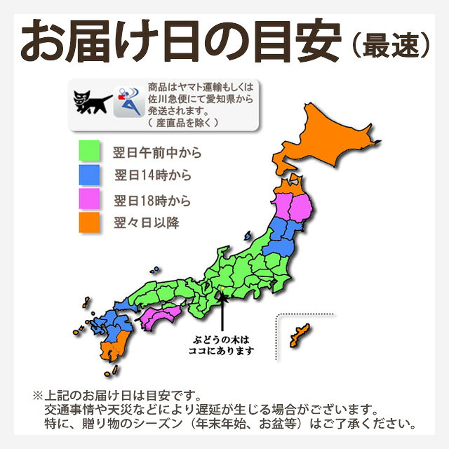 [有機栽培] レモン (5kg)　　有機栽培 有機 国産 オーガニック 生 れもん 檸檬 有機レモン スムージー/ジュース におすすめ budounoki-10000421 ぶどうの木 サンプル画像2