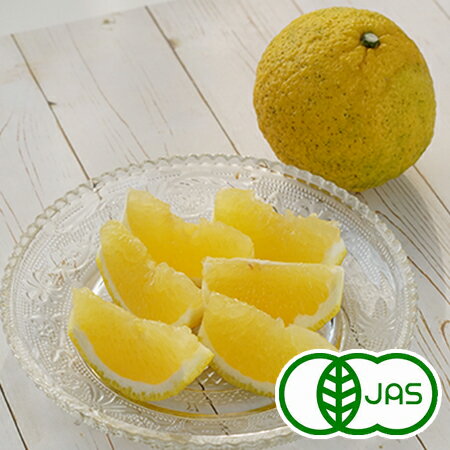 [有機栽培] はるか (1kg) 有機 オーガニック 国産 愛媛産 柑橘 フルーツ