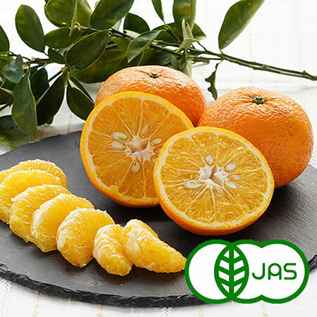 [有機栽培] 紅甘夏（べにあまなつ）(1kg） 有機 オーガニック アマナツ みかん 蜜柑 ミカン 国産 九州産
