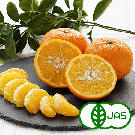 Amanatsu （Sweet Summer Orange） - [有機栽培] 紅甘夏（べにあまなつ）(10kg）　　有機 オーガニック アマナツ みかん 蜜柑 ミカン 国産 九州産