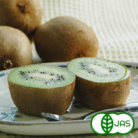 [ͭ������]������(10kg����80�̡�100��)�� ����ͭ�� �������˥å� �� ������� ������ ��ʪ �ե롼��