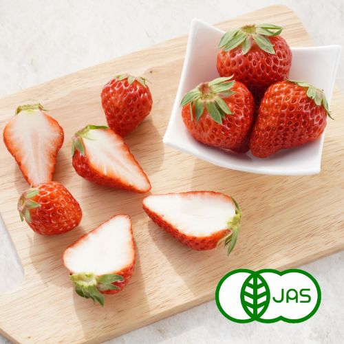 [有機栽培] 遠藤さんの有機いちご（紅ほっぺ） (200g×4パック) 産地直送 産直 有機栽培 国産 三重県産 オーガニック 生 送料無料