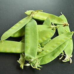 Silk Field Peas - [有機栽培] 絹さやエンドウ(50g）　　オーガニック 有機 国産 兵庫県産 西日本 えんどう まめ キヌサヤ