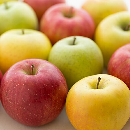 特別栽培 りんご 2～3個 減農薬 国産 青森県産 アップル 林檎 リンゴ 生 低農薬 エコファーマー