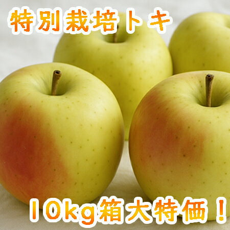 【数量限定 大特価】特別栽培 小玉りんご トキ(10kg) 減農薬 青森県産 リンゴ 林檎 アップル apple セール