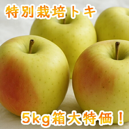 【数量限定 大特価】特別栽培 小玉りんご トキ(5kg) 減農薬 青森県産 リンゴ 林檎 アップル apple セール