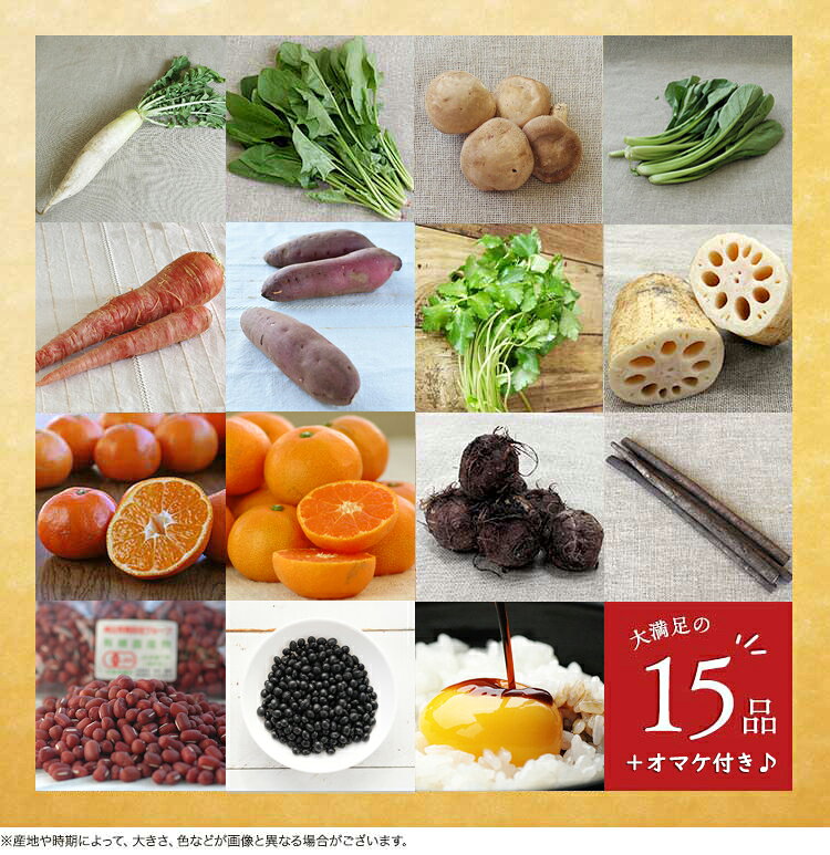 ぶどうの木のお正月野菜セット ※他商品との同梱不可 お届けは12/30-31限定
