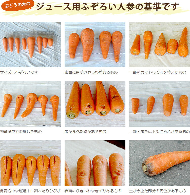 有機りんごとジュース用にんじん5kgのセット【クール便価格】 budounoki-10000855 ぶどうの木 サンプル画像2