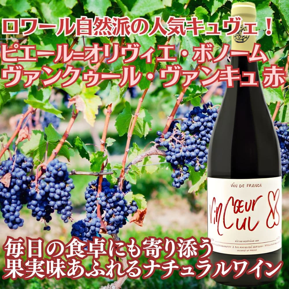 ピエール=オリヴィエ ボノーム ヴァンクゥール ヴァンキュ 赤 赤ワイン フランス ロワール 2024 750 Pierre-Olivier Bonhomme Vincoueur Vincul Rouge budouya-10000983 世界のワイン葡萄屋 サンプル画像2