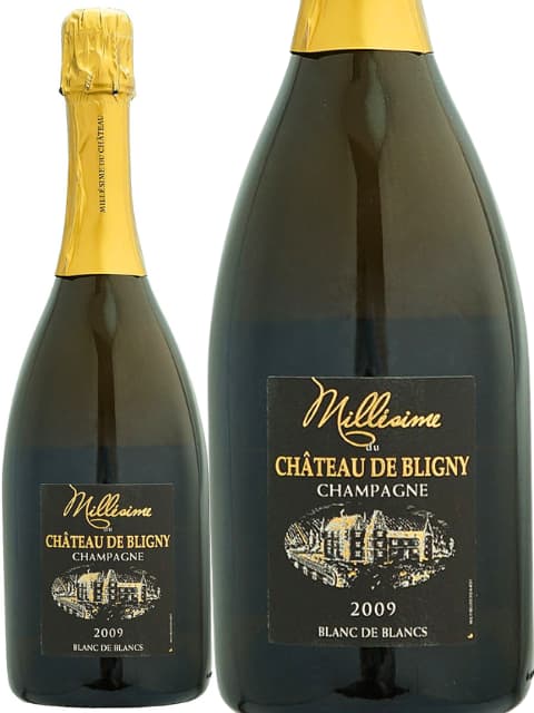 シャトー ド ブリニ ブラン ド ブラン ミレジム シャンパーニュ フランス 2005 750ml バーベキュー 海水浴 プレゼント ギフト 誕生日 贈り物