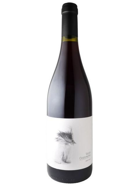 Dom フォンドゥース ヴァン コントレール ピノノワール 赤ワイン フランス ラングドック 2022 750ml Vents Contraires Pinot Noir