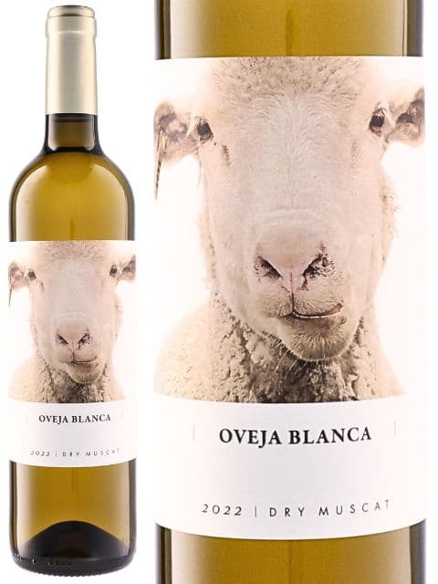 ボデガス イ ビニェードス フォンタナ フォンタナ オベハ ブランカ 白ワイン スペイン 内陸部地方(カスティーリャ＝ラ・マンチャ州) 2024 750 Fontana Oveja Blanca