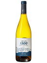 アンデルーナ セラーズ アンデルーナ シャルドネ 白ワイン アルゼンチン メンドーサ 2023 750 Andeluna Chardonnay