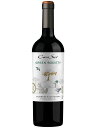 ヴィーニャ・コノスル コノスル グリーンソサエティ カベルネ・ソーヴィニヨン チリ アコンカグア・ヴァレー 赤ワイン 750 2021 Cono Sur Green Society Cabernet Sauvignon
